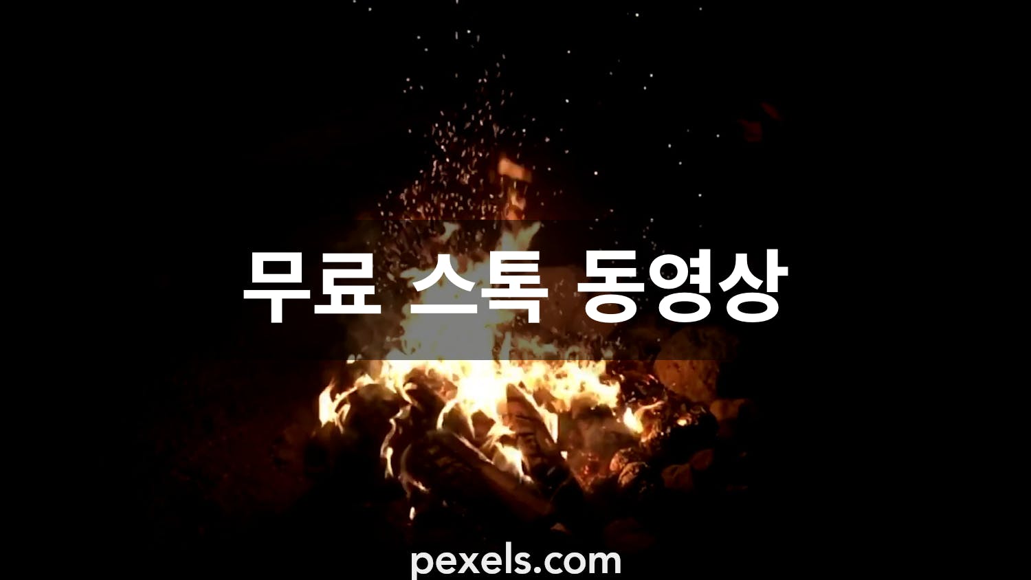 600+개의 최고의 모닥불 동영상 · 100% 무료 다운로드 · Pexels 스톡 동영상