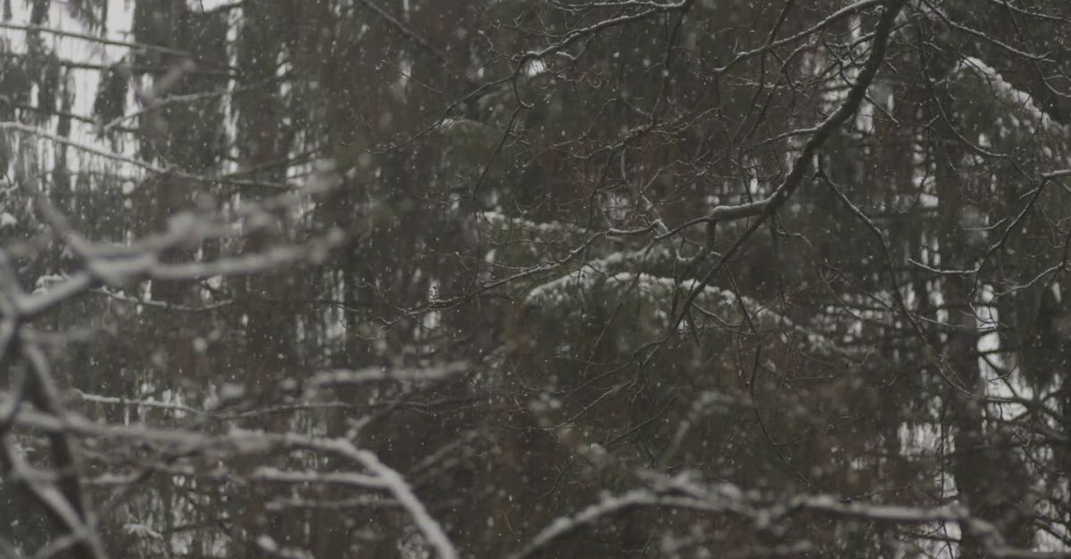 Snowfall Video Download Snowfall Free Stock Video Footage, Royalty-Free 4K & HD Video Clip