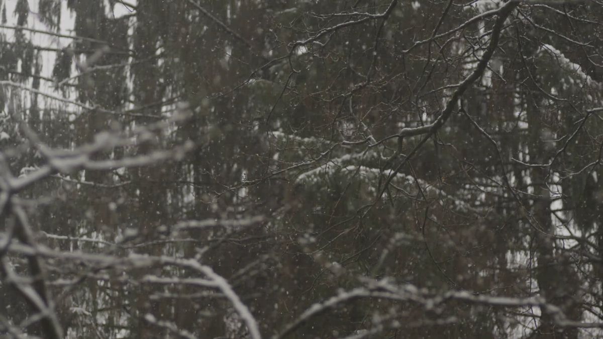 Snow Fall Clips A Video of Snow Fall Free Stock Video Footage, Royalty-Free 4K & HD ...