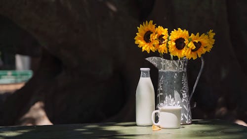 A Bottle of Milk beside a Pitcher Filled with Sunflowers