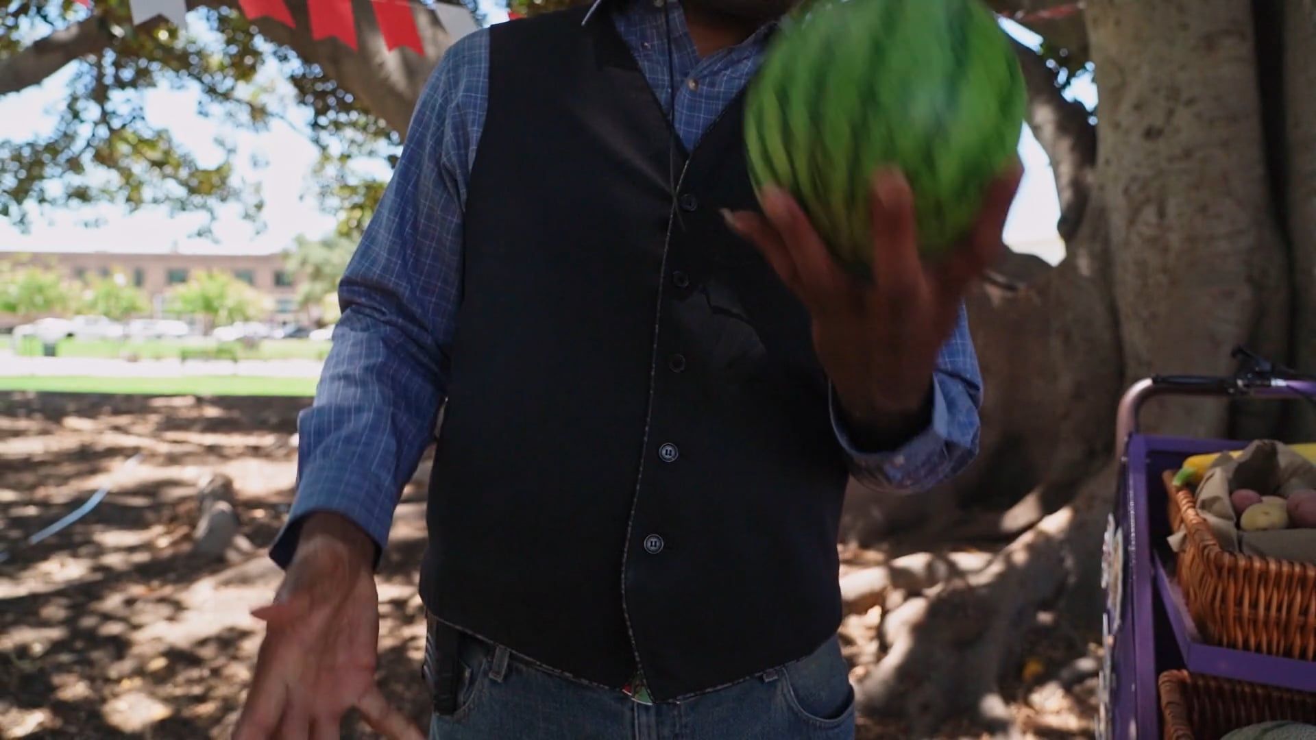 Organic Food Producer video