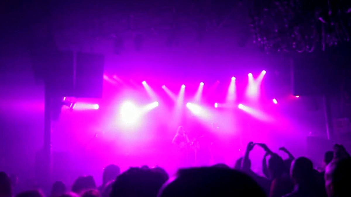 Video Of People Having Fun At Concert Free Stock Video Footage, Royalty ...