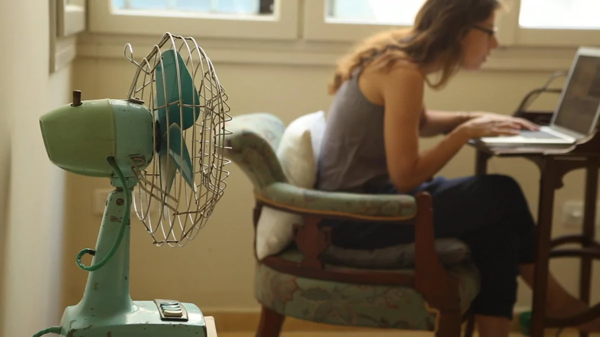 The Science Behind Using Fans to Keep Flies Away