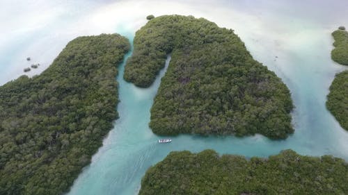 Aerial Shot Of An Island View