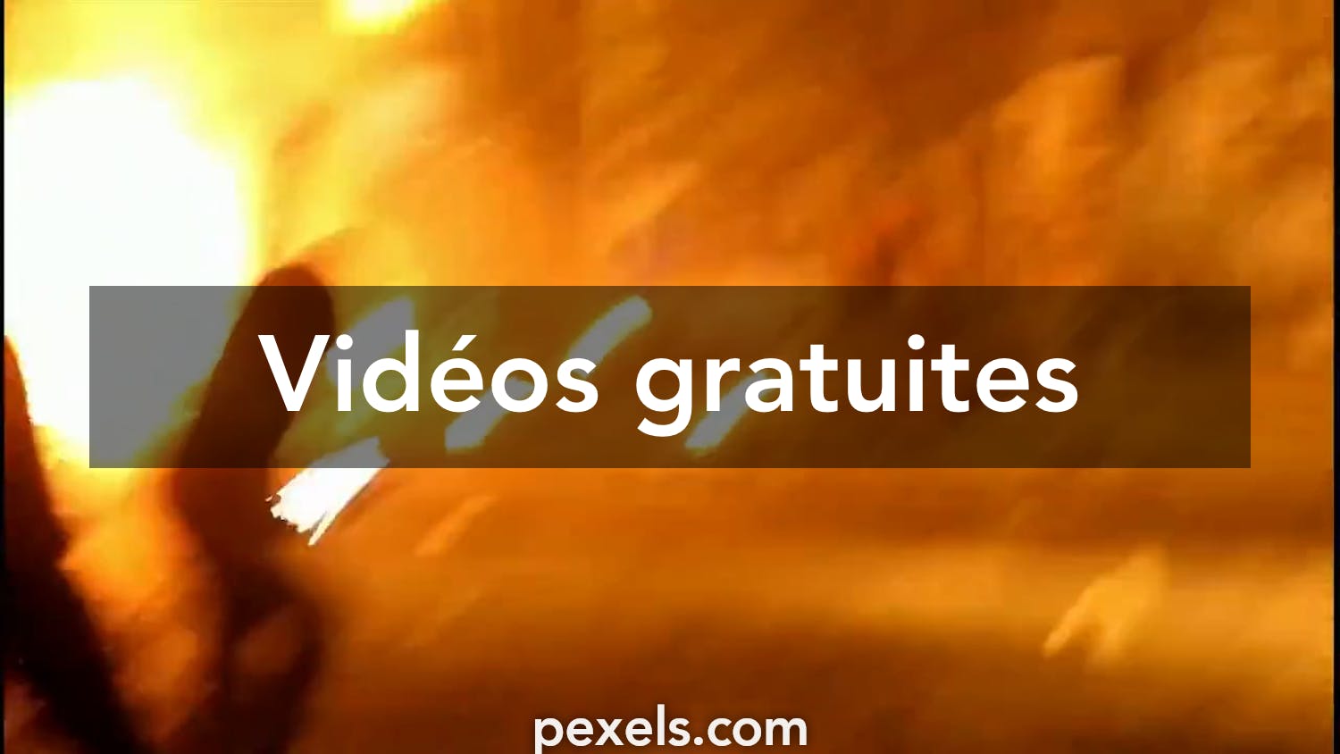 100 Manifestation Vidéos Pexels · Vidéos Gratuites