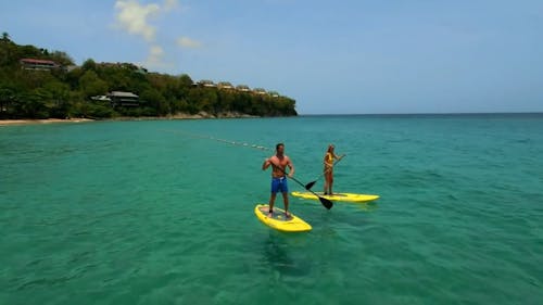 Paddle Surfing and Scuba Diving Video