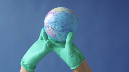 Person Holding a Globe