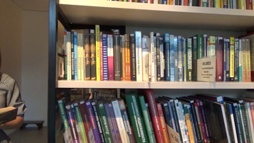 Woman Reading Inside A Library 