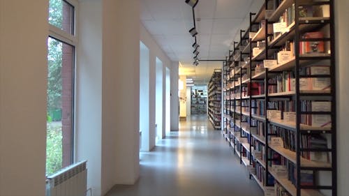 Vídeo Dentro De Uma Biblioteca