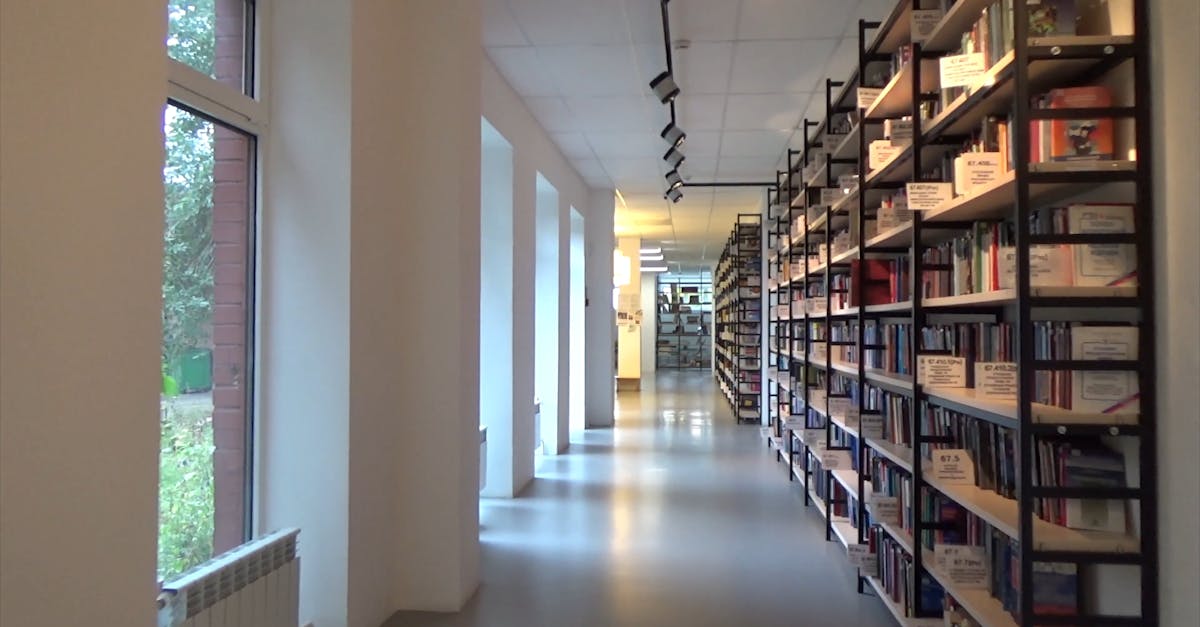 Video Inside A Library Free Stock Video Footage, Royalty-Free 4K & HD ...