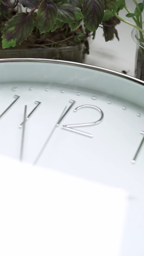 Video of a Clock and Plants