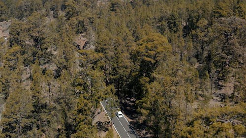 Aerial Shot of a Car Driving on Mountain Road