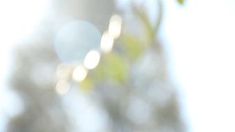 gaigekf免费下载免费下载视频素材视频素材