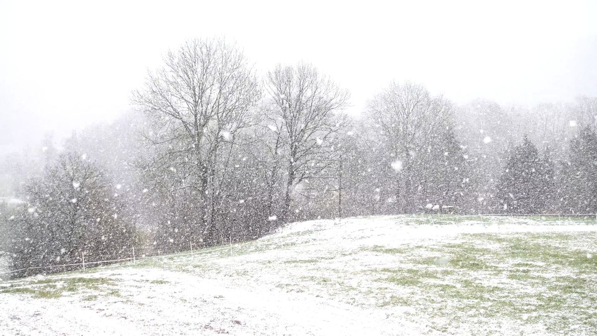 Snowfall Video Download Snow Falling Video Free Stock Video Footage, Royalty-Free 4K & HD Video ...