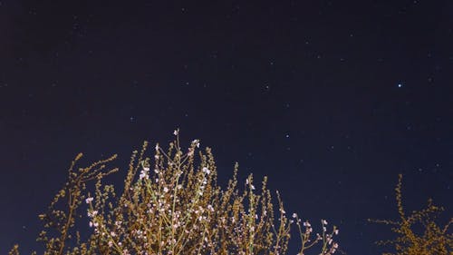 Time Lapse Video Of Sky During Night