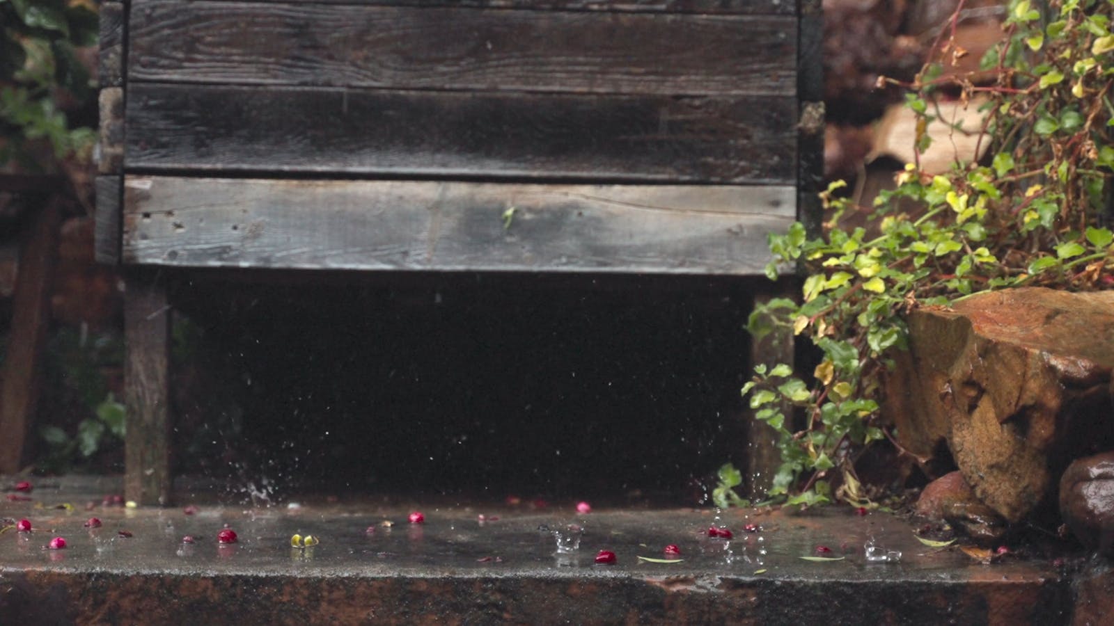 Drizzle Videos Download The BEST Free 4k Stock Video Footage Drizzle