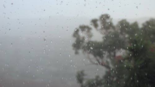 Slow Motion Video of Raindrops