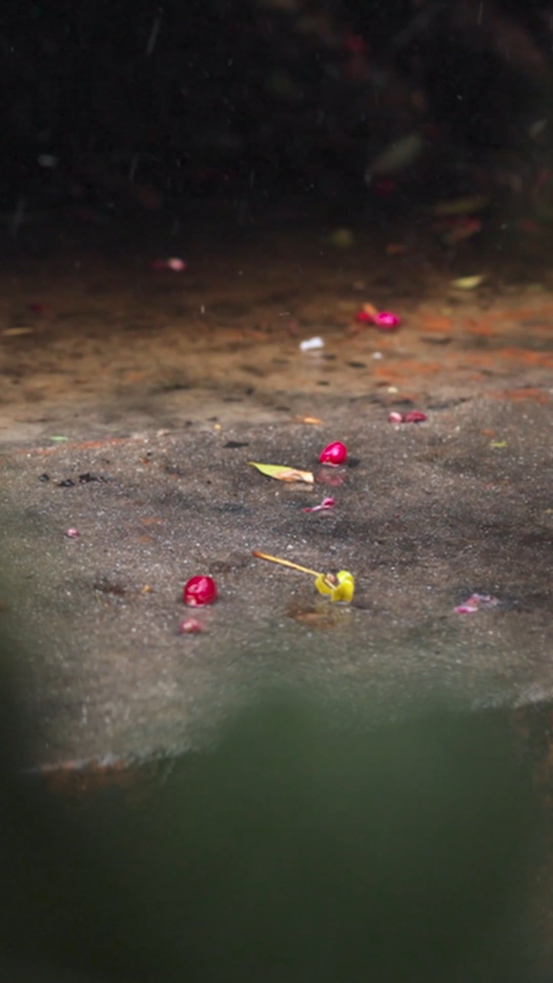video of a raindrops 8549519