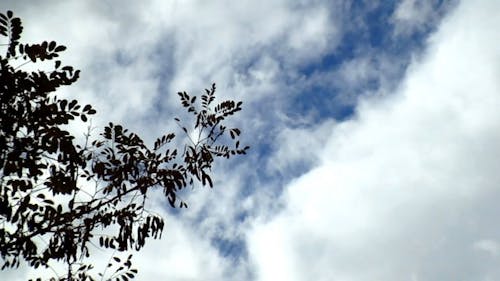 Time Lapse Video Of Blue Sky