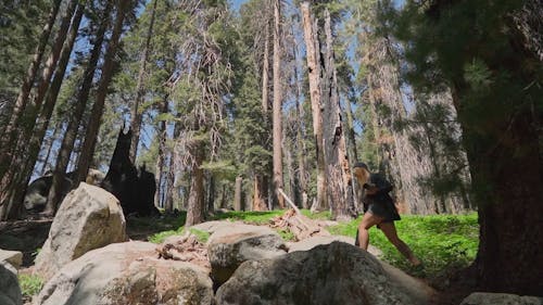 A Woman Walking on Boulders at a National Park