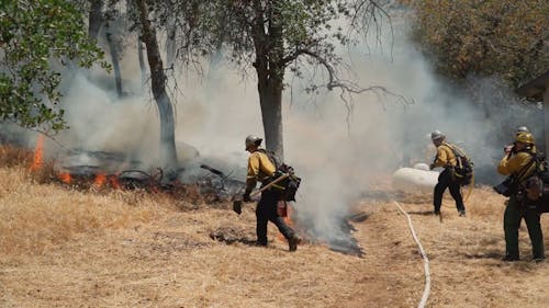 Men Doing a Prescribed Burn at a National Park