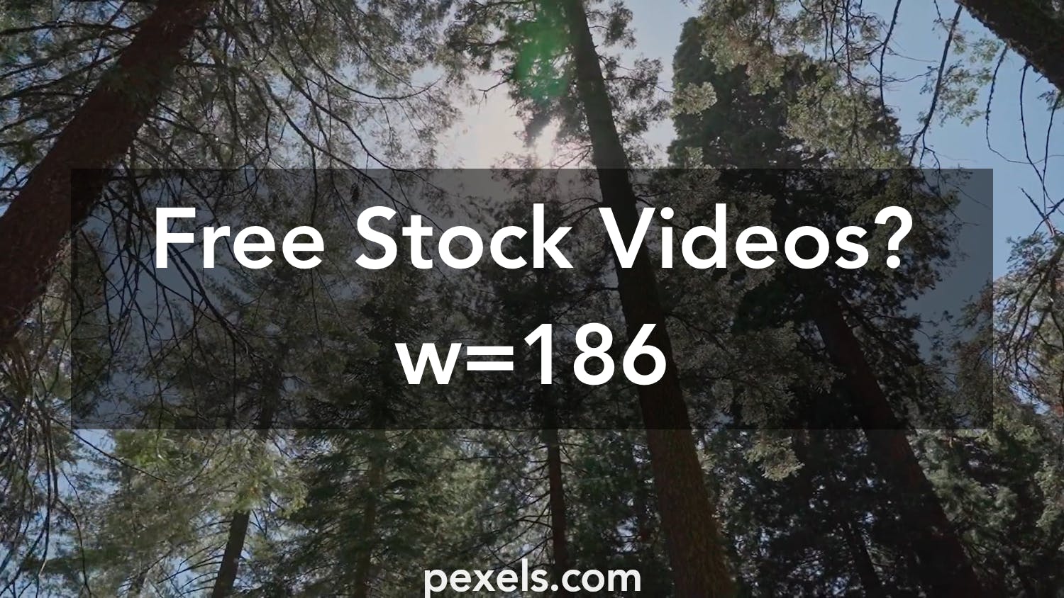 Giant Eagle Smart Track Login Videos Download The BEST Free 4k Stock 