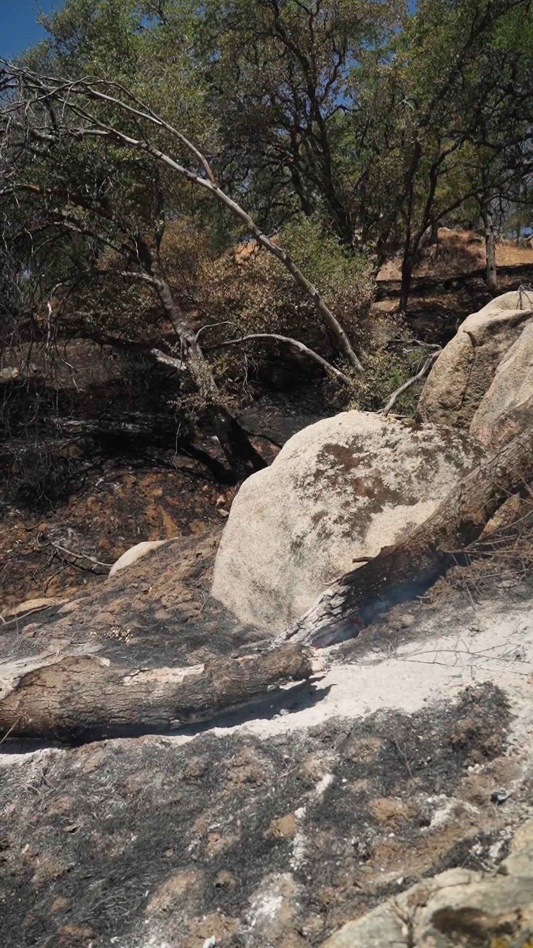 Scorching Day Videos, Download The BEST Free 4k Stock Video Footage ...