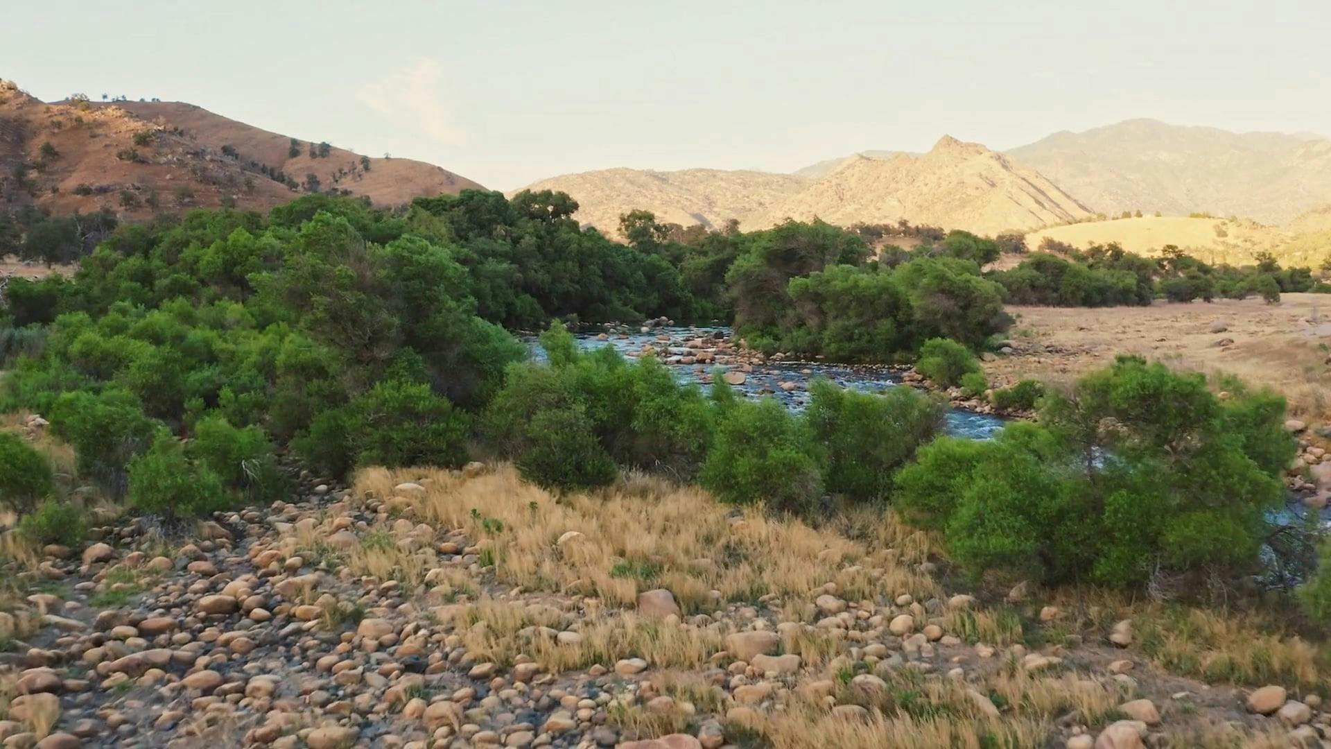 Video by RDNE Stock project