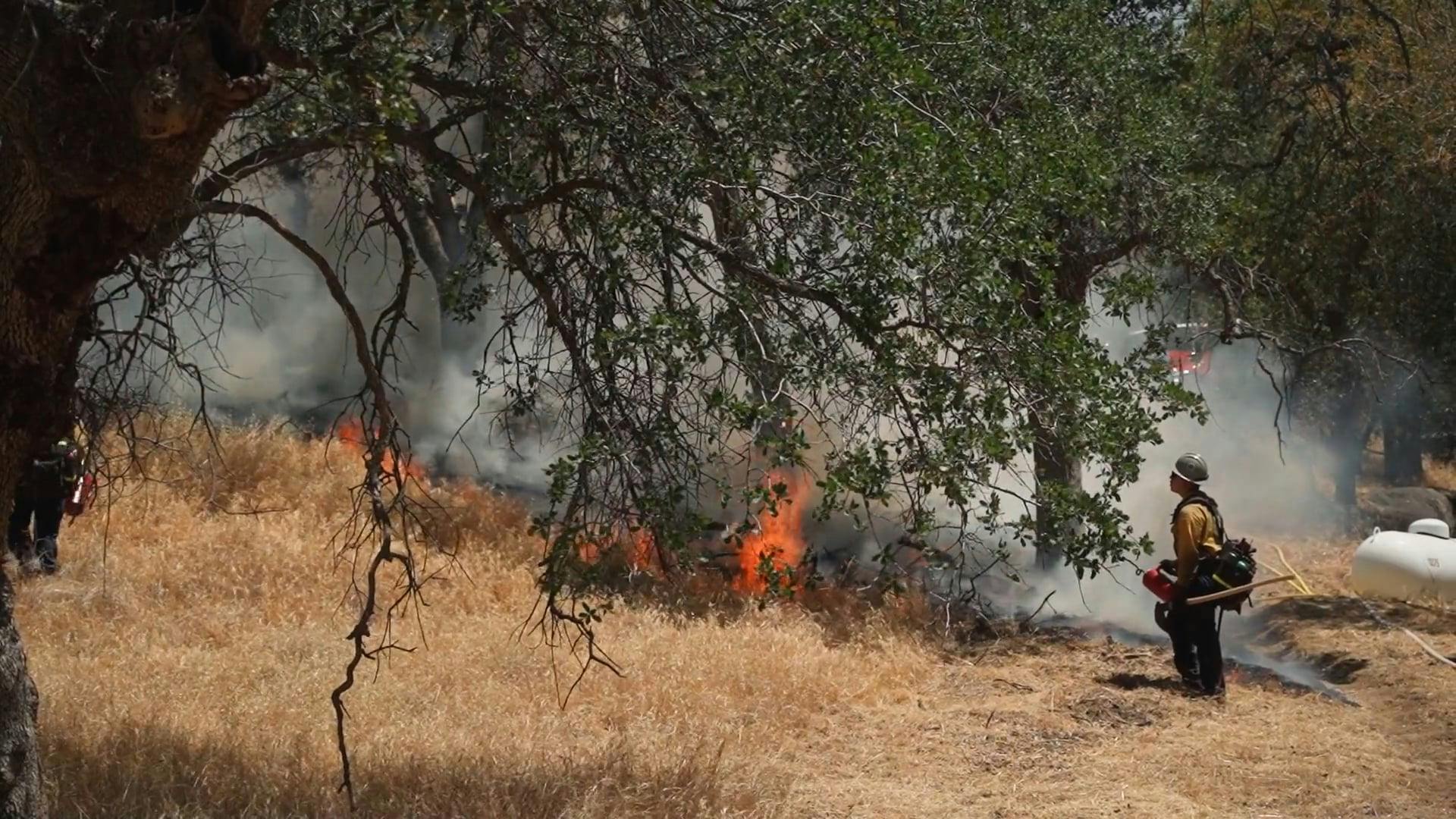 Put Out Fire Videos, Download The BEST Free 4k Stock Video Footage