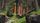 sequoia