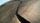 tree rings