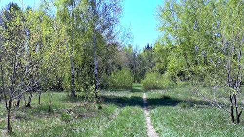 Vista De La Naturaleza