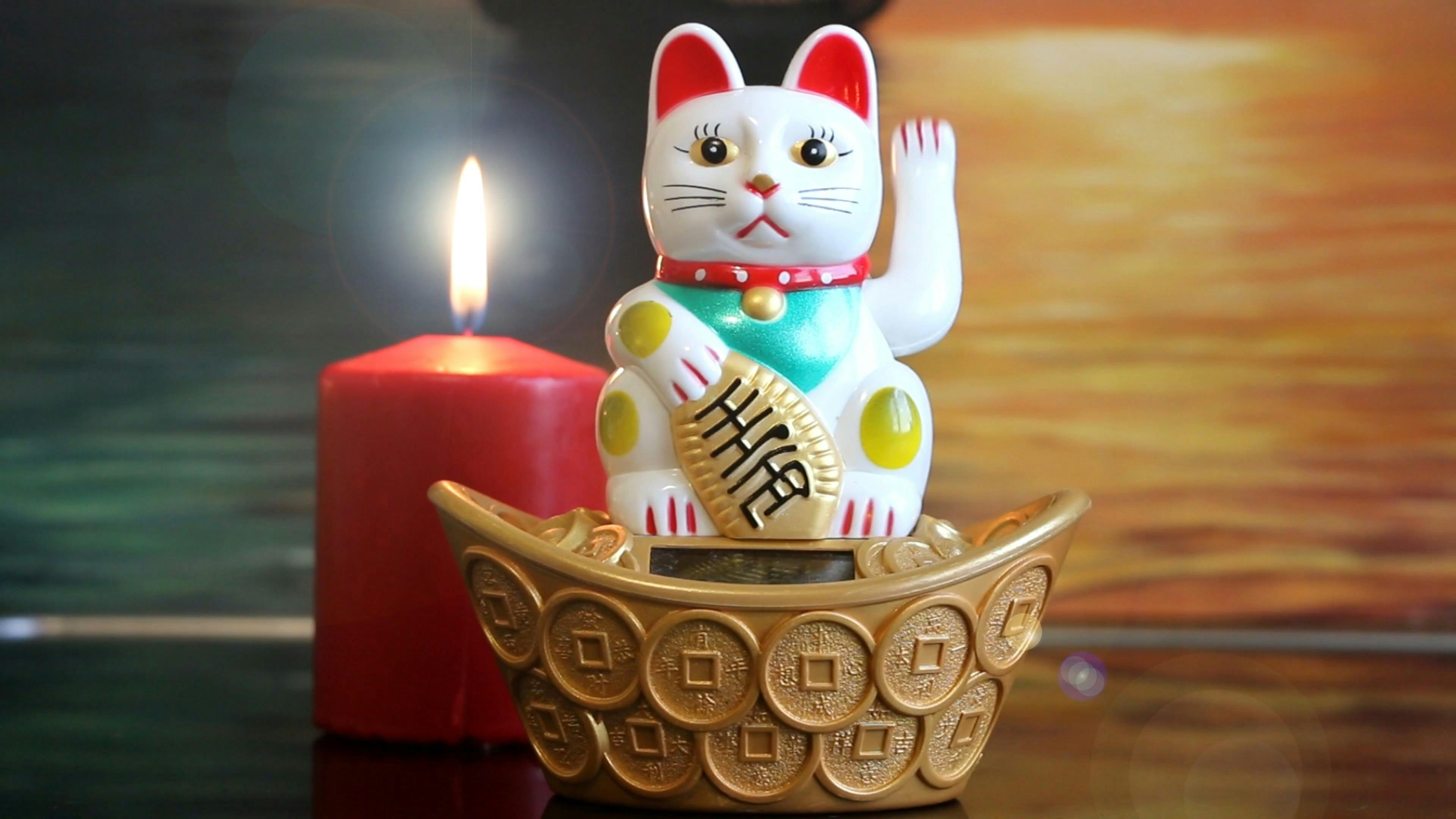 Cat Display Figurine · Free Stock Video