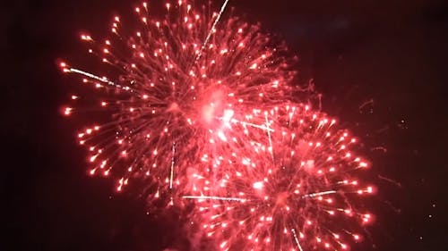 New Year Videos, Download The BEST Free 4k Stock Video Footage & New Year  HD Video Clips
