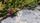 macro nature