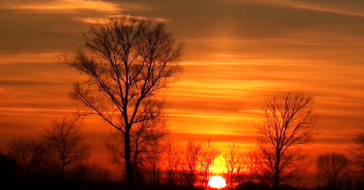 free-video-855542.jpg