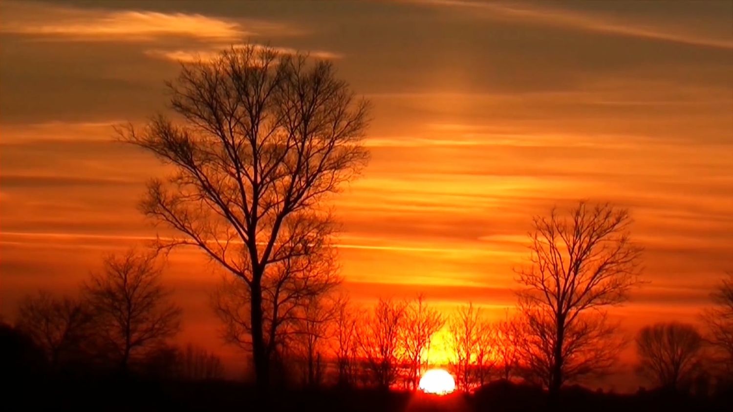 Beauty Nature Videos, Download The BEST Free 4k Stock Video Footage ...