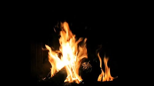 Campfire At Night