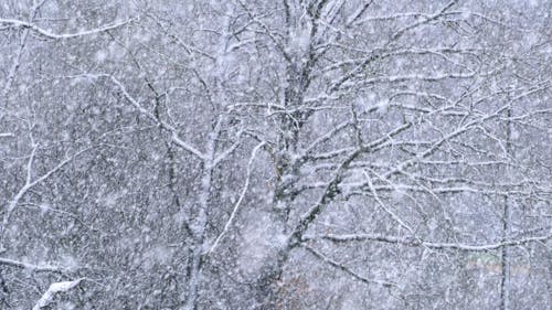 降雪视频