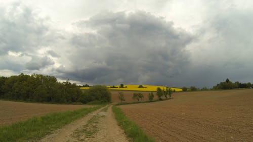 Clouds Over Field