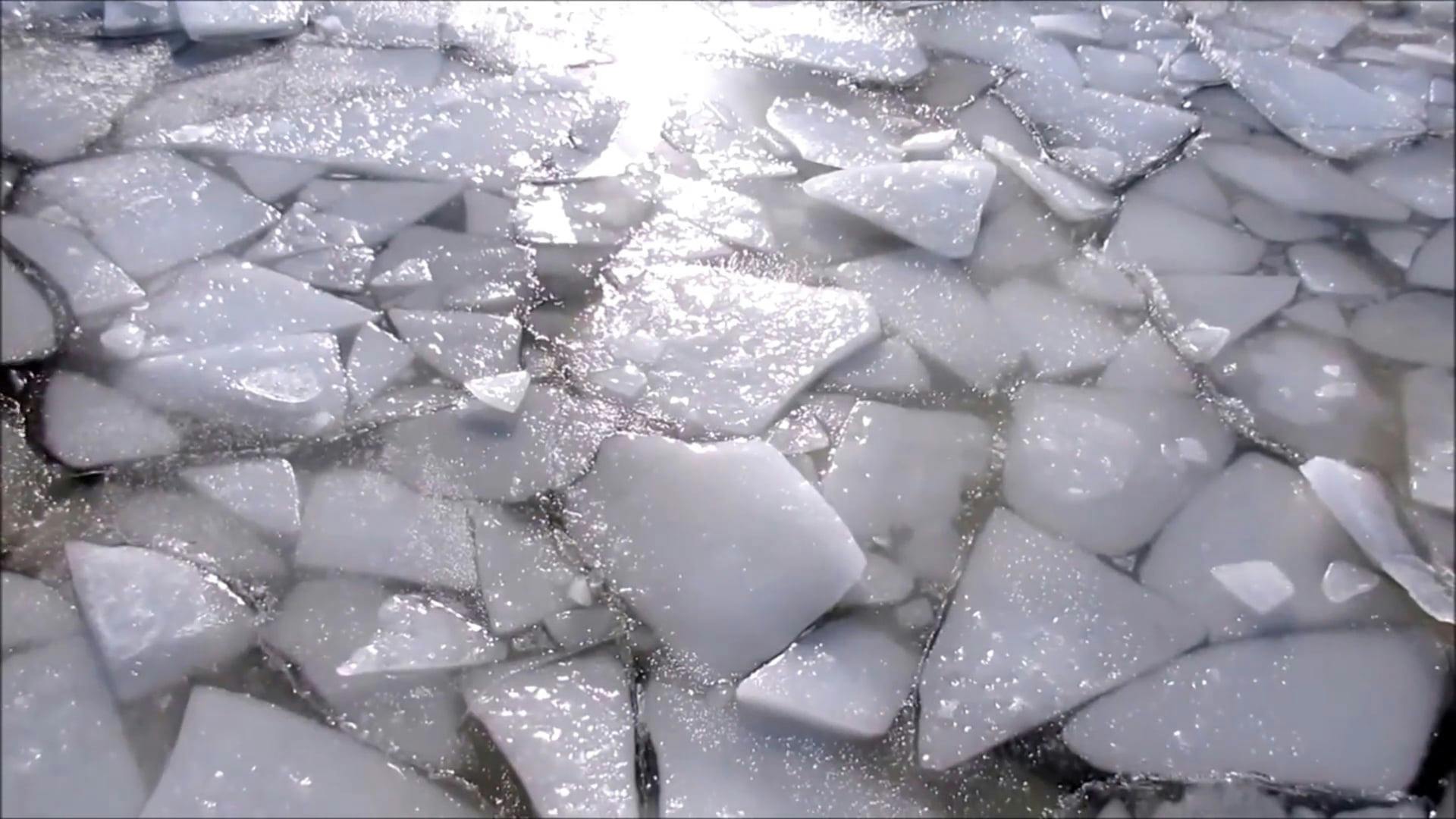 Video of Floating of Platform of Ice During Daytime Free Stock Video ...