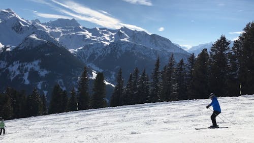 People Skiing