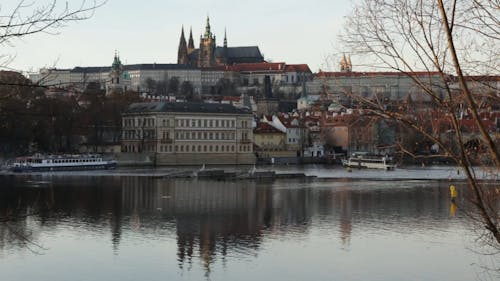 Waterfront Buildings