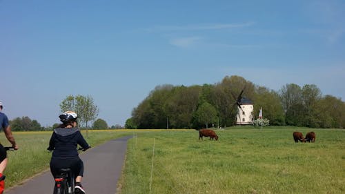 Riding Bikes