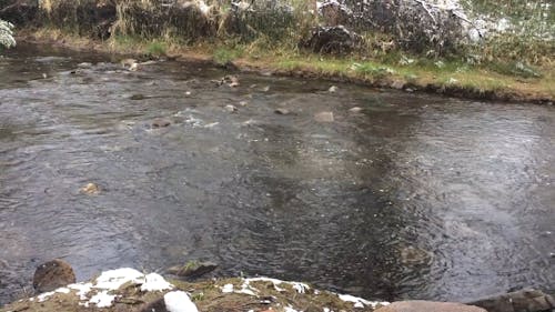 Flowing Water In The River