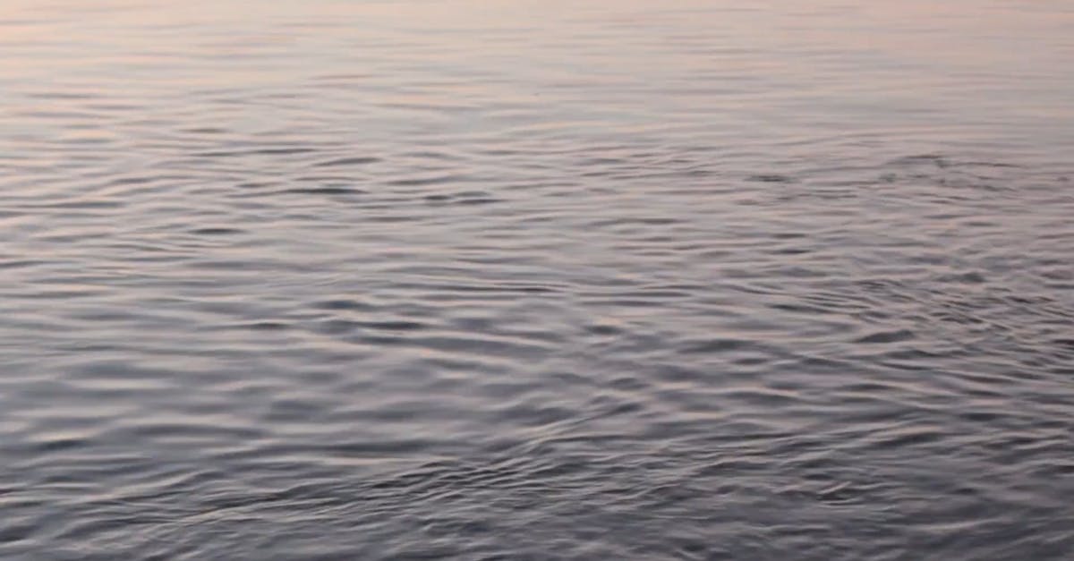 Water Ripples Video Free Stock Video Footage, Royalty-Free 4K & HD ...