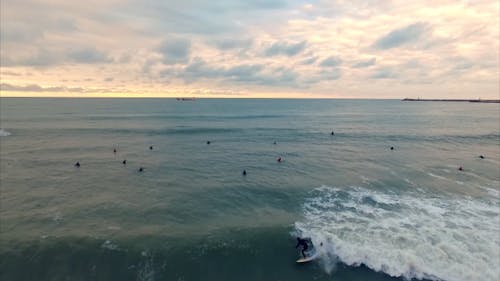 Surfing Stock Video Footage for Free Download