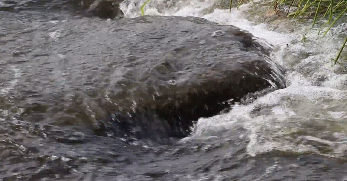 Close Up Stream Close Up Video Of Stream Free Stock Video Footage, Royalty-Free 4K & HD ...