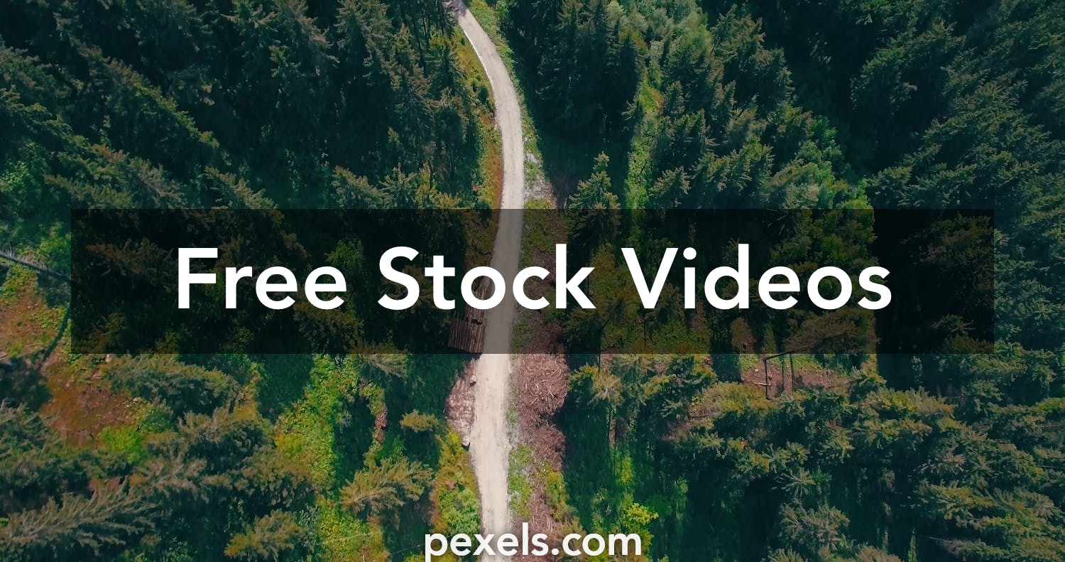 100,000+ Best 4k Video Videos · 100% Free Download · Pexels Stock Videos