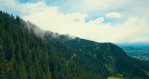 Vídeo Visto De Cima Da Bela Natureza